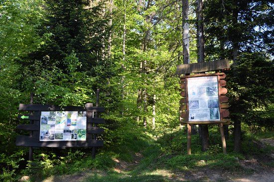 Rezerwat przyrody Madohora